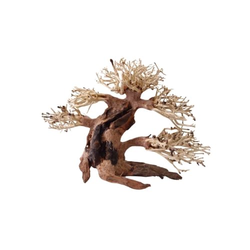 AquaOne Aquarium Bonsai Baum M Nr.1030 I Wurzel Oriental Holz 20x15x20 cm I Aquascaping Dekoration I Natur Unikat Bonsaibaum I Landschaft Deko Unterwasserlandschaft von AquaOne