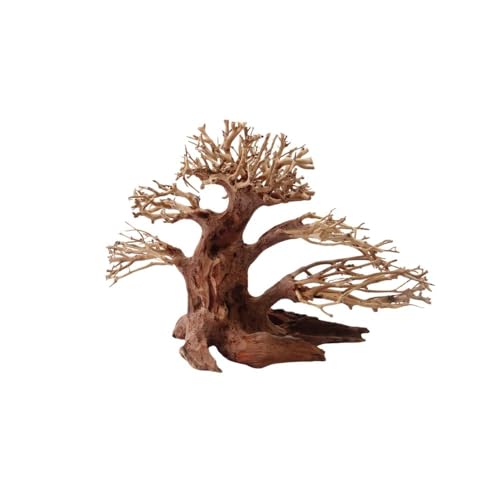 AquaOne Aquarium Bonsai Baum M Nr.1031 I Wurzel Oriental Holz 20x15x20 cm I Aquascaping Dekoration I Natur Unikat Bonsaibaum I Landschaft Deko Unterwasserlandschaft von AquaOne