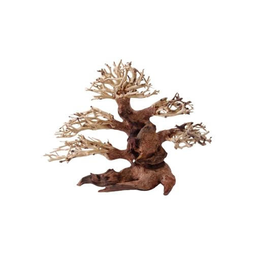 AquaOne Aquarium Bonsai Baum M Nr.1032 I Wurzel Oriental Holz 20x15x20 cm I Aquascaping Dekoration I Natur Unikat Bonsaibaum I Landschaft Deko Unterwasserlandschaft von AquaOne