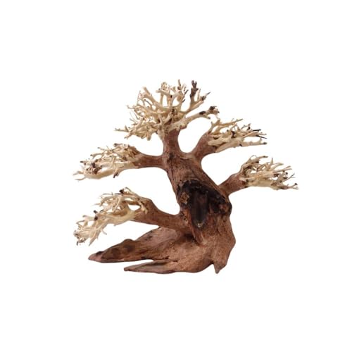 AquaOne Aquarium Bonsai Baum M Nr.1037 I Wurzel Oriental Holz 20x15x20 cm I Aquascaping Dekoration I Natur Unikat Bonsaibaum I Landschaft Deko Unterwasserlandschaft von AquaOne