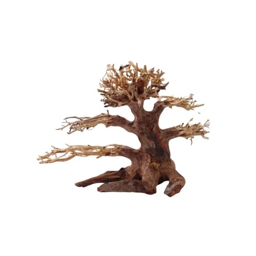 AquaOne Aquarium Bonsai Baum M Nr.1041 I Wurzel Oriental Holz 20x15x20 cm I Aquascaping Dekoration I Natur Unikat Bonsaibaum I Landschaft Deko Unterwasserlandschaft von AquaOne