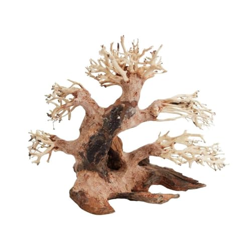 AquaOne Aquarium Bonsai Baum M Nr.10602 I Wurzel Oriental Holz 20x15x20 cm I Aquascaping Dekoration I Natur Unikat Bonsaibaum I Landschaft Deko Unterwasserlandschaft von AquaOne