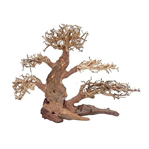 AquaOne Aquarium Bonsai Baum XL Nr.12036 Wurzel Oriental Holz 40x20x30 cm I Aquascaping Dekoration I Natur Unikat Bonsaibaum I Landschaft Deko Unterwasserlandschaft von AquaOne