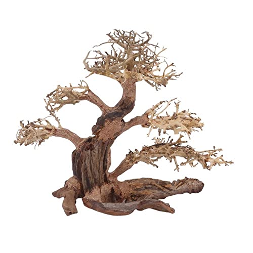 AquaOne Aquarium Bonsai Baum XL Nr.12037 Wurzel Oriental Holz 40x20x30 cm I Aquascaping Dekoration I Natur Unikat Bonsaibaum I Landschaft Deko Unterwasserlandschaft von AquaOne