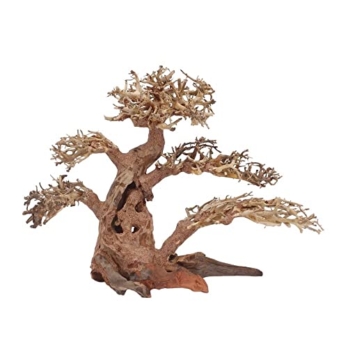 AquaOne Aquarium Bonsai Baum XL Nr.12050 Wurzel Oriental Holz 40x20x30 cm I Aquascaping Dekoration I Natur Unikat Bonsaibaum I Landschaft Deko Unterwasserlandschaft von AquaOne