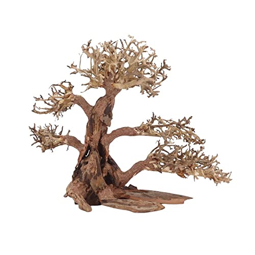 AquaOne Aquarium Bonsai Baum XL Nr.12051 Wurzel Oriental Holz 40x20x30 cm I Aquascaping Dekoration I Natur Unikat Bonsaibaum I Landschaft Deko Unterwasserlandschaft von AquaOne