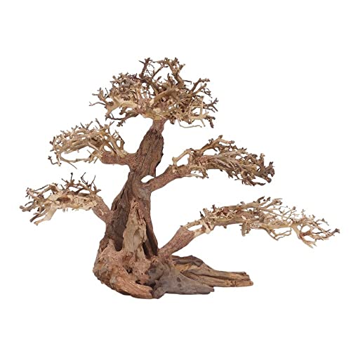 AquaOne Aquarium Bonsai Baum XL Nr.12054 Wurzel Oriental Holz 40x20x30 cm I Aquascaping Dekoration I Natur Unikat Bonsaibaum I Landschaft Deko Unterwasserlandschaft von AquaOne