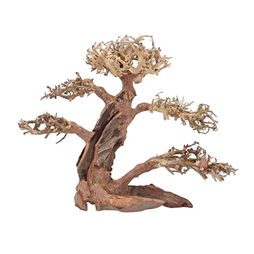 AquaOne Aquarium Bonsai Baum XL Nr.12057 Wurzel Oriental Holz 40x20x30 cm I Aquascaping Dekoration I Natur Unikat Bonsaibaum I Landschaft Deko Unterwasserlandschaft von AquaOne