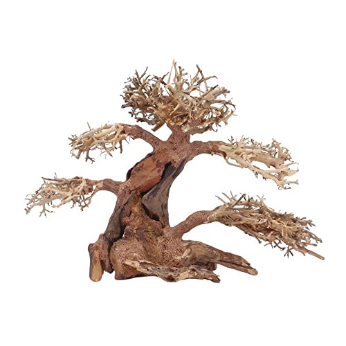 AquaOne Aquarium Bonsai Baum XL Nr.12058 Wurzel Oriental Holz 40x20x30 cm I Aquascaping Dekoration I Natur Unikat Bonsaibaum I Landschaft Deko Unterwasserlandschaft von AquaOne