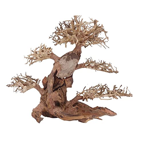 AquaOne Aquarium Bonsai Baum XL Nr.12063 Wurzel Oriental Holz 40x20x30 cm I Aquascaping Dekoration I Natur Unikat Bonsaibaum I Landschaft Deko Unterwasserlandschaft von AquaOne