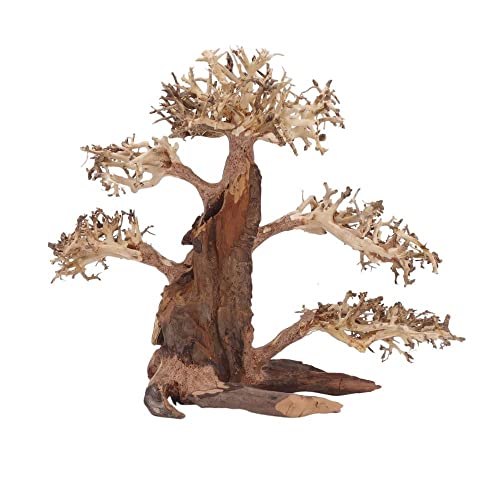 AquaOne Aquarium Bonsai Baum XL Nr.12064 Wurzel Oriental Holz 40x20x30 cm I Aquascaping Dekoration I Natur Unikat Bonsaibaum I Landschaft Deko Unterwasserlandschaft von AquaOne