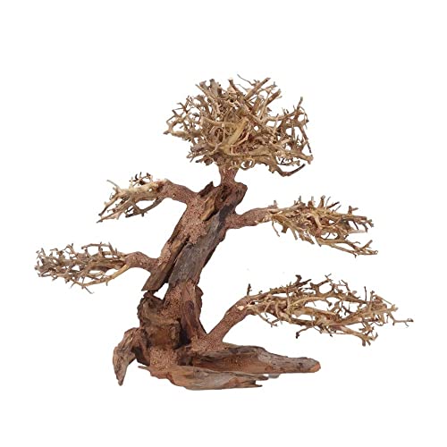 AquaOne Aquarium Bonsai Baum XL Nr.12066 Wurzel Oriental Holz 40x20x30 cm I Aquascaping Dekoration I Natur Unikat Bonsaibaum I Landschaft Deko Unterwasserlandschaft von AquaOne