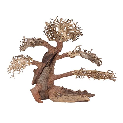 AquaOne Aquarium Bonsai Baum XL Nr.12068 Wurzel Oriental Holz 40x20x30 cm I Aquascaping Dekoration I Natur Unikat Bonsaibaum I Landschaft Deko Unterwasserlandschaft von AquaOne