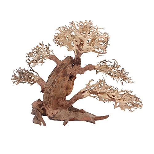 AquaOne Aquarium Bonsai Baum XL Nr.12069 Wurzel Oriental Holz 40x20x30 cm I Aquascaping Dekoration I Natur Unikat Bonsaibaum I Landschaft Deko Unterwasserlandschaft von AquaOne