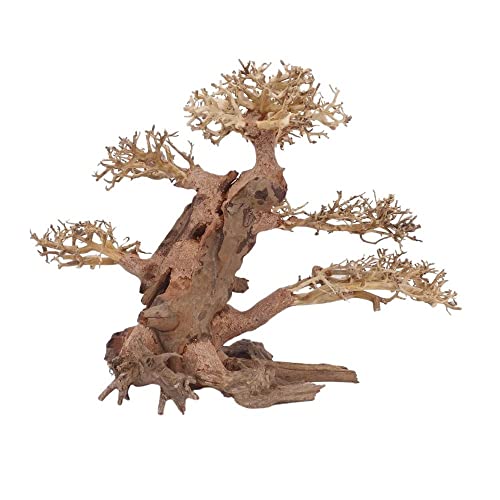 AquaOne Aquarium Bonsai Baum XL Nr.12071 Wurzel Oriental Holz 40x20x30 cm I Aquascaping Dekoration I Natur Unikat Bonsaibaum I Landschaft Deko Unterwasserlandschaft von AquaOne