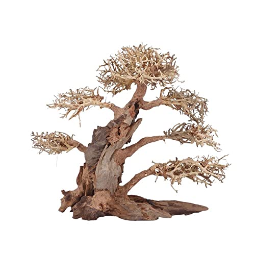 AquaOne Aquarium Bonsai Baum XXL Nr.13042 Wurzel Oriental Holz 50x25x40 cm I Aquascaping Dekoration I Natur Unikat Bonsaibaum I Landschaft Deko Unterwasserlandschaft von AquaOne