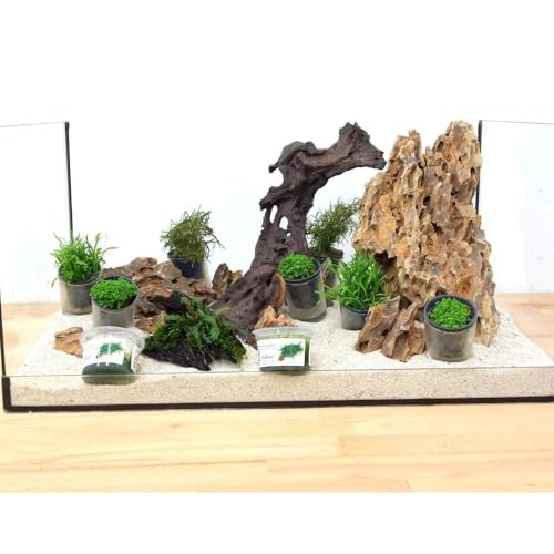 AquaOne Aquarium Deko Komplettset Steine Wurzel Pflanzen Aquascaping Hardscape Set Nr.11 Dekoration Wasserpflanzen von AquaOne