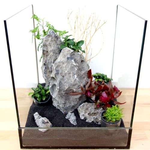 AquaOne Aquarium Deko Komplettset Steine Wurzel Pflanzen Aquascaping Set Nr.1 Dekoration Wasserpflanzen von AquaOne