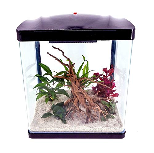 AquaOne Aquarium Komplettset LED mit Pumpe HR-300 schwarz I Kleines Nanoaquarium 14 Liter I Mini Nano Becken Set für Fische und Garnelen von AquaOne