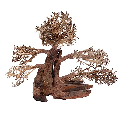 XL Bonsai Baum Nr.12023 Wurzel Holz Aquarium Deko Aquascaping Bonsaibaum Dekoration Landschaft Moos Natur von AquaOne