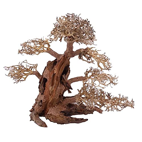 XXL Bonsai Baum Nr.13014 Wurzel Holz Aquarium Deko Aquascaping Bonsaibaum Dekoration Landschaft Moos Natur von AquaOne