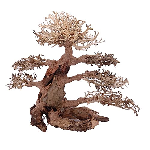 XXL Bonsai Baum Nr.13027 Wurzel Holz Aquarium Deko Aquascaping Bonsaibaum Dekoration Landschaft Moos Natur von AquaOne