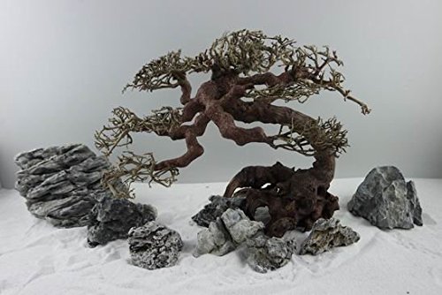 Aquarium Bonsai Large von Aquadeco