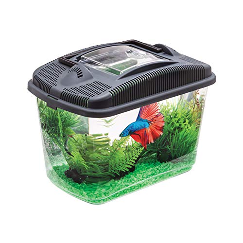 AQUAEL 114563 Betta Kit, schwarz, 790 g von Aquael