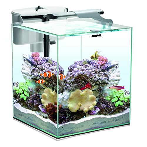 Aquael AQUARIEN Set Nano Reef Duo White 35 2.0 von Aquael