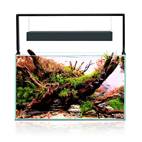 Aquael UltraScape 60 Forest Set, 60 x 30 x 36 cm (Pack of 1) von Aquael