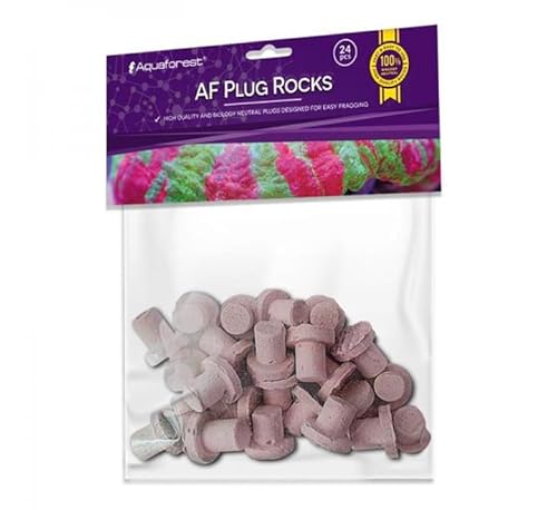 Aquaforest - AF Plug Rocks Purple 24 Stück - Steckbretter von Aquaforest