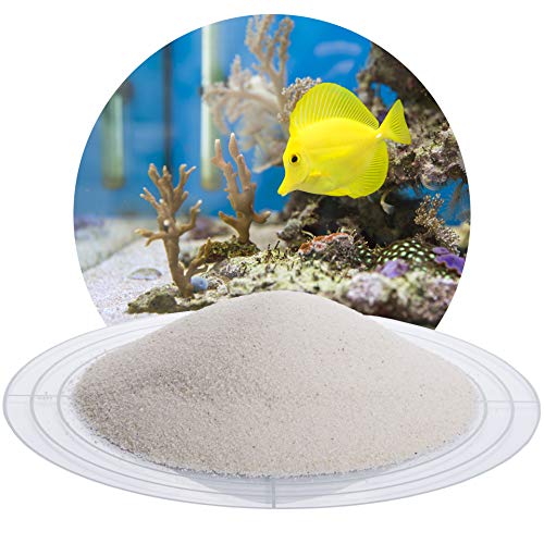 Schicker Mineral – 25 kg Aquariumsand Weiß – feiner Aquariumkies gewaschen & ungefärbt – kantengerundeter Bodengrund Kies für Süßwasseraquarien & Meerwasseraquarien (Ø Körnung: 0,1-0,3 mm) von Aquagran