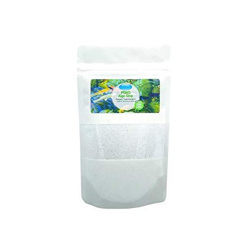 Aquaris Pond Algo Stop Teichpflege-Produkt für Teichfische und Koi - 250 g. Effektive und schonende Teichpflege für klares Wasser ohne Fadenalgen. Algenvernichter für Teich und Gartenteich. von Aquaris