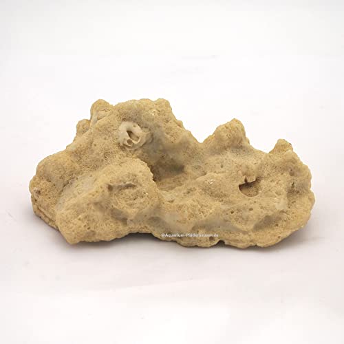 Felsen/Stein,13,5 x 9,5 x5,5 cm,Nano Aquarium Meerwasser Riffgestein Nachbildung von AQUARIUM PLÜDERHAUSEN