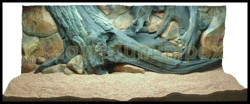 3D Rückwand 120x50 Aquariumrückwand Amazonas von Aquariumimpex