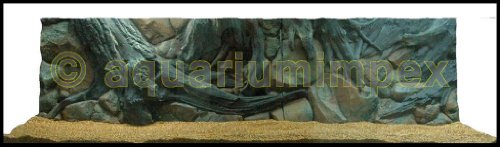 3D Rückwand 200x60 Aquariumrückwand Amazonas von Aquariumimpex