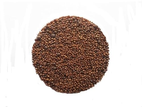 Aquaterratec Axogravel Schoko 5Kg, Spezialbodengrund für Axolotl von Aquaterratec