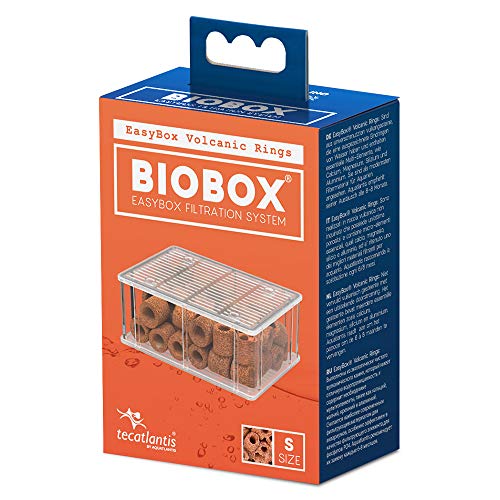 Aquatlantis 07389 EasyBox Volcanic Rings für Biobox 2, S von Aquatlantis