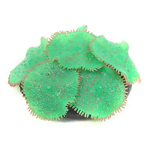 Aquatlantis Aqua Glow Bush Anemone Green One Size 0,05 kg von Aquatlantis