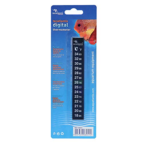 Aquatlantis TECATLANTIS Thermometer von Aquatlantis