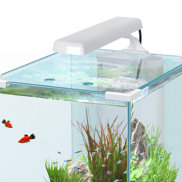 EasyLed für das Aquatlantis Nano Cubic weiß von Aquatlantis