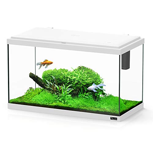 für Aquaristik Blanco weiß von Aquatlantis