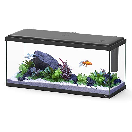 für Negro Aquarium, Schwarz für Negro Aquarium, Schwarz von Aquatlantis