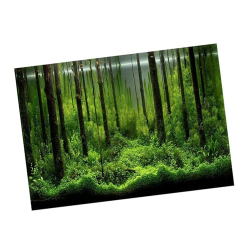 Unterwasserhintergrund für Aquarien, PVC-Hintergrunddekoration S (91 * 50CM) von Aramox