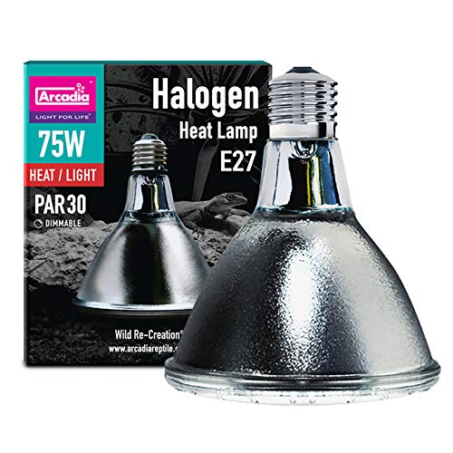 Arcadia Reptile Halogen Basking Spot (kein UV) - 75W - Warmweiß - 1 Stück von Arcadia