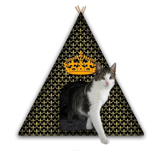 Arco Design Hundezelt Tipi Zelt Katzen Hund Katzentipi Mit Kissen 67x60x60 cm Katzenbett Hundebett Tierbett Maschinenwaschbar Filz Holz Crown L von Arco