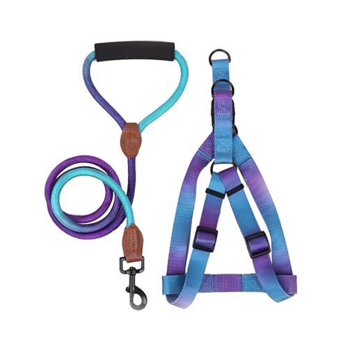 Arecobticy Hundehalsband, Hundegeschirr mit Leine, Brustgurt für Haustiere, zum Spazierengehen, für Outdoor-Aktivitäten, buntes Geschirr von Arecobticy