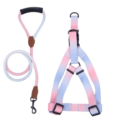 Arecobticy Hundehalsband, Hundegeschirr mit Leine, Brustgurt für Haustiere, zum Spazierengehen, für Outdoor-Aktivitäten, buntes Geschirr von Arecobticy