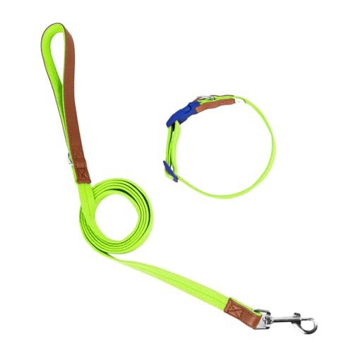 Arecobticy Hundehalsband, Hundeleine, Schlupfleine, Halsband, Seil, langes Haustier, starkes Training, Spazierengehen, Schwimmen, Wandern von Arecobticy