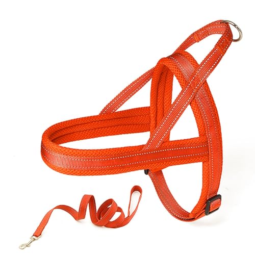 Arecobticy Hundehalsband, Hundeleine, Schlupfweste mit reflektierenden Streifen, 1,2 m lang, für starkes Training, Spazierengehen, Schwimmen, Wandern von Arecobticy